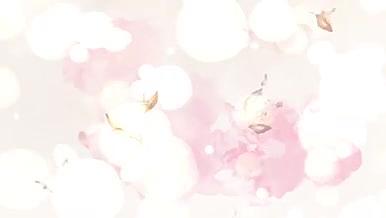 粉色唯美浪漫花朵草木飘落光斑视频背景视频的预览图